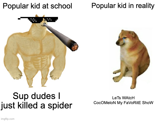 Buff Doge vs. Cheems | Popular kid at school; Popular kid in reality; Sup dudes I just killed a spider; LeTs WAtcH CocOMeloN My FaVoRitE ShoW | image tagged in memes,buff doge vs cheems | made w/ Imgflip meme maker