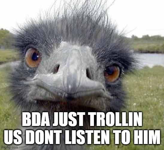 Cold Stare of Ostrich | BDA JUST TROLLIN US DONT LISTEN TO HIM | image tagged in cold stare of ostrich | made w/ Imgflip meme maker