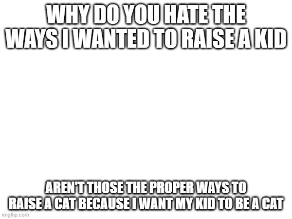 i love cats | WHY DO YOU HATE THE WAYS I WANTED TO RAISE A KID; AREN'T THOSE THE PROPER WAYS TO RAISE A CAT BECAUSE I WANT MY KID TO BE A CAT | made w/ Imgflip meme maker