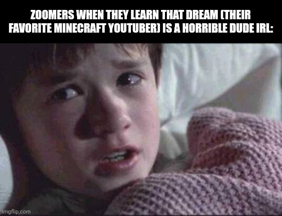 I See Dead People | ZOOMERS WHEN THEY LEARN THAT DREAM (THEIR FAVORITE MINECRAFT YOUTUBER) IS A HORRIBLE DUDE IRL: | image tagged in memes,dream,dsmp | made w/ Imgflip meme maker