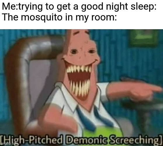 They are very annoying | Me:trying to get a good night sleep:
The mosquito in my room: | image tagged in high-pitched demonic screeching,mosquito,memes | made w/ Imgflip meme maker
