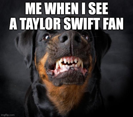 dog growl | ME WHEN I SEE A TAYLOR SWIFT FAN | image tagged in dog growl,taylor swift is trash | made w/ Imgflip meme maker