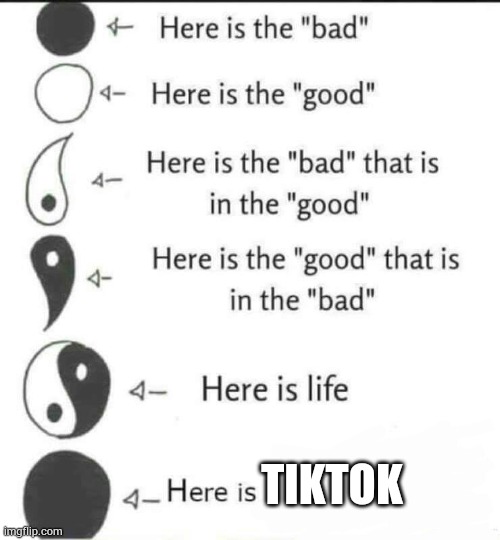 Here is the bad | TIKTOK | image tagged in here is the bad | made w/ Imgflip meme maker