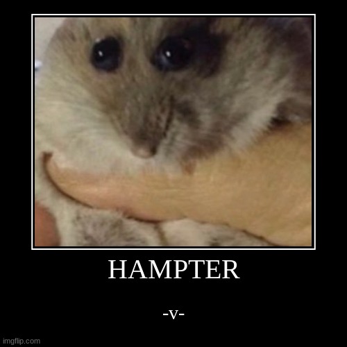 my pet HAMPTER | HAMPTER | -v- | image tagged in funny,demotivationals | made w/ Imgflip demotivational maker