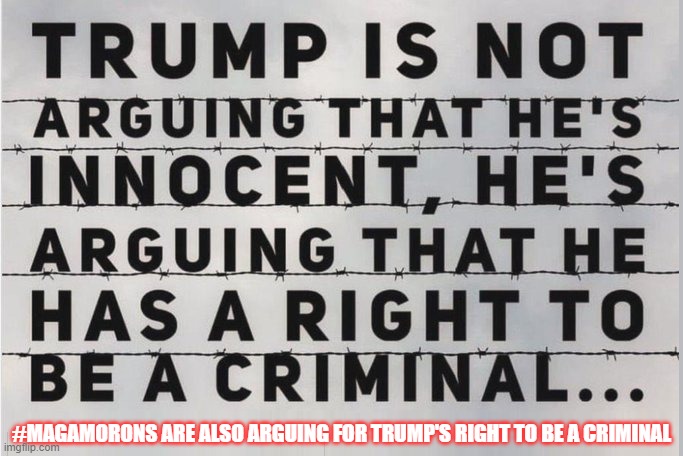 Donald Trump MAGA Morons | #MAGAMORONS ARE ALSO ARGUING FOR TRUMP'S RIGHT TO BE A CRIMINAL | image tagged in donald trump,maga,maga morons,republicans,conservatives | made w/ Imgflip meme maker