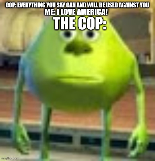 Hey he did say everything | COP: EVERYTHING YOU SAY CAN AND WILL BE USED AGAINST YOU; THE COP:; ME: I LOVE AMERICA! | image tagged in sully wazowski | made w/ Imgflip meme maker