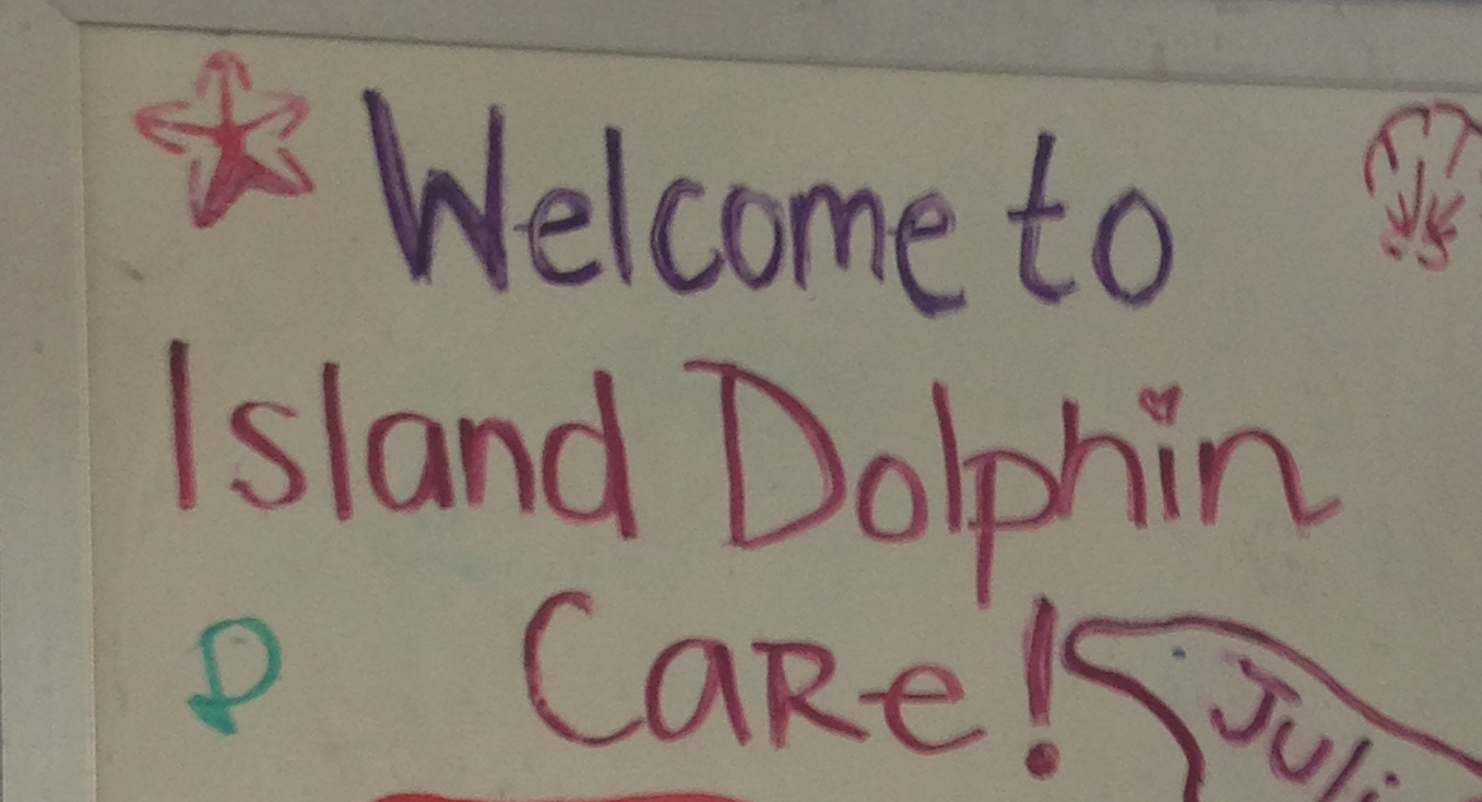 High Quality Welcome to Island Dolphin Care! Blank Meme Template
