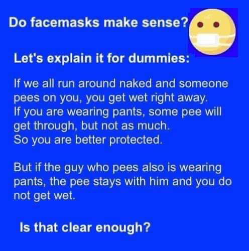 Do facemasks Make Sense? Blank Meme Template