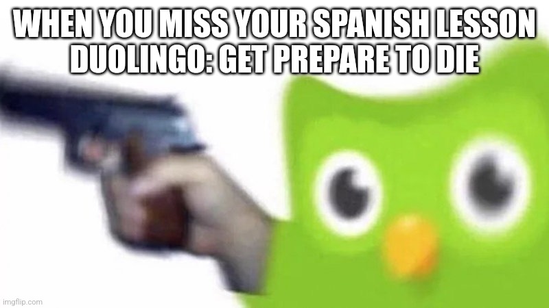 duolingo gun | WHEN YOU MISS YOUR SPANISH LESSON
DUOLINGO: GET PREPARE TO DIE | image tagged in duolingo gun | made w/ Imgflip meme maker