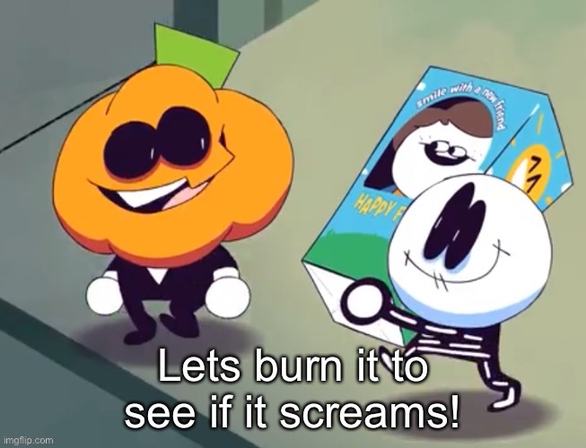 Lets burn it to see if it screams! | image tagged in lets burn it to see if it screams | made w/ Imgflip meme maker