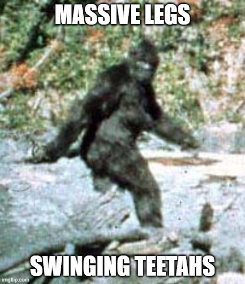bigfoot | MASSIVE LEGS; SWINGING TEETAHS | image tagged in silly | made w/ Imgflip meme maker