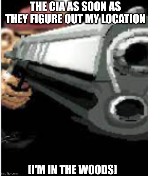 Shh I'm hidding | THE CIA AS SOON AS THEY FIGURE OUT MY LOCATION; [I'M IN THE WOODS] | image tagged in funny,memes,cia,my location is | made w/ Imgflip meme maker
