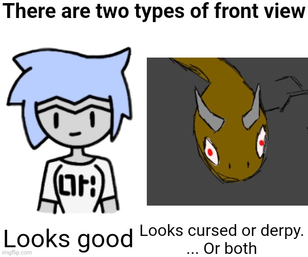 To be fair the golden deceiver looks like it's partially from above because I suck at perspective | There are two types of front view; Looks good; Looks cursed or derpy.
... Or both | made w/ Imgflip meme maker