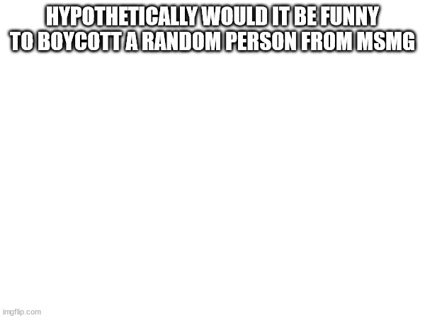 HYPOTHETICALLY WOULD IT BE FUNNY TO BOYCOTT A RANDOM PERSON FROM MSMG | made w/ Imgflip meme maker