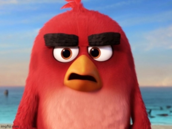 Angry Birds | image tagged in angry birds | made w/ Imgflip meme maker