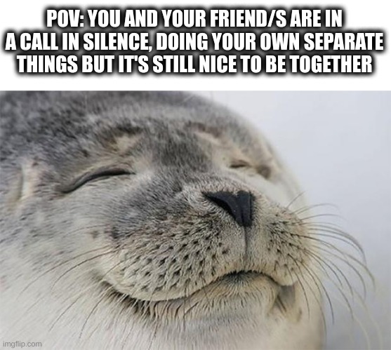 the comfortable silence is nice, especially if someone's typing :) | POV: YOU AND YOUR FRIEND/S ARE IN A CALL IN SILENCE, DOING YOUR OWN SEPARATE THINGS BUT IT'S STILL NICE TO BE TOGETHER | image tagged in memes,satisfied seal,relaxing | made w/ Imgflip meme maker