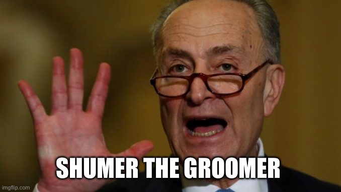 Chuck Schumer | SHUMER THE GROOMER | image tagged in chuck schumer | made w/ Imgflip meme maker