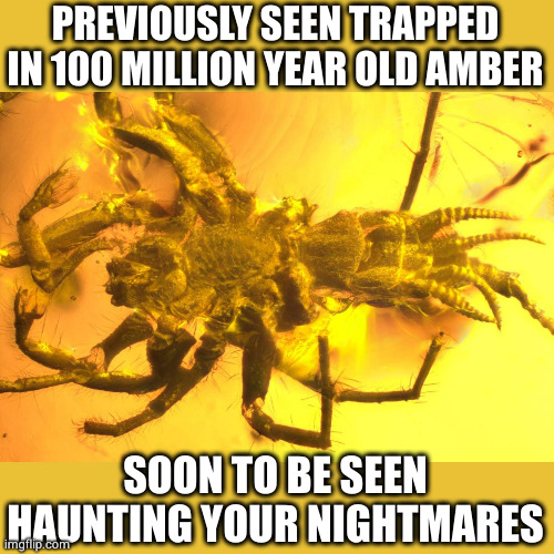 "we're pretty sure these protrusions on the abdomen were used to frighten prey to death" | PREVIOUSLY SEEN TRAPPED IN 100 MILLION YEAR OLD AMBER; SOON TO BE SEEN HAUNTING YOUR NIGHTMARES | image tagged in squick,i hate it | made w/ Imgflip meme maker