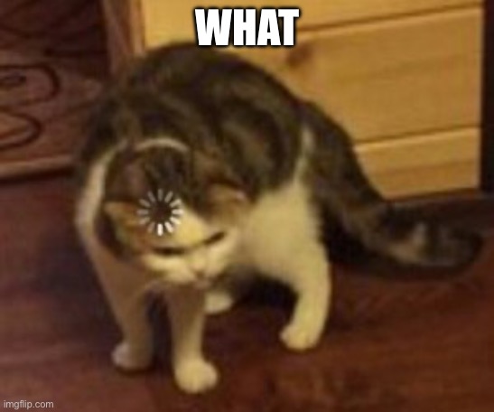 Loading cat | WHAT | image tagged in loading cat | made w/ Imgflip meme maker