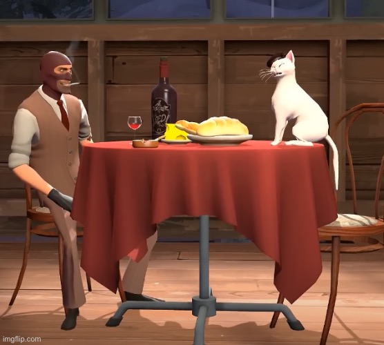 cat and spy eatin dinner | made w/ Imgflip meme maker