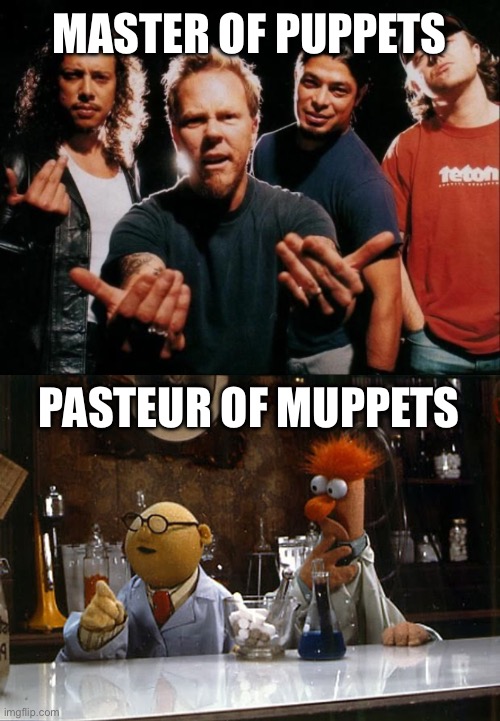 Puppets vs Muppets | MASTER OF PUPPETS; PASTEUR OF MUPPETS | image tagged in metallica come on,pasteur | made w/ Imgflip meme maker