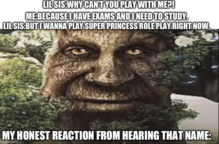 When we hear something stupid from our siblings. | LIL SIS:WHY CAN’T YOU PLAY WITH ME?! ME:BECAUSE I HAVE EXAMS AND I NEED TO STUDY. LIL SIS:BUT I WANNA PLAY SUPER PRINCESS ROLE PLAY RIGHT NOW. MY HONEST REACTION FROM HEARING THAT NAME: | image tagged in wise mystical tree | made w/ Imgflip meme maker