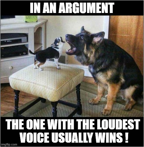 Angry Dogs ! | IN AN ARGUMENT; THE ONE WITH THE LOUDEST
 VOICE USUALLY WINS ! | image tagged in dogs,argument,loud | made w/ Imgflip meme maker