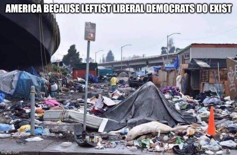 california tent city | AMERICA BECAUSE LEFTIST LIBERAL DEMOCRATS DO EXIST | image tagged in california tent city | made w/ Imgflip meme maker