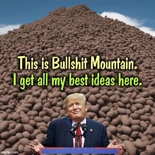 This is Bullshit Mountain. I get all my best ideas here. | image tagged in bullshit,trump,donald trump,garbage,trash | made w/ Imgflip meme maker