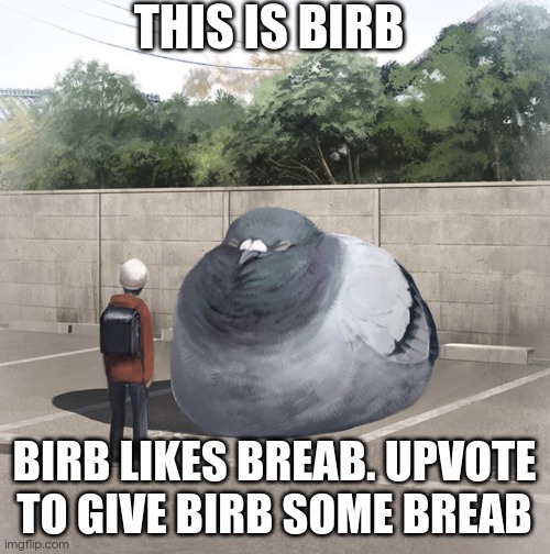 do it or else it will snap ur dick in half. dont have one? it will leak ur naughty photos | THIS IS BIRB; BIRB LIKES BREAB. UPVOTE TO GIVE BIRB SOME BREAB | image tagged in beeg birb | made w/ Imgflip meme maker