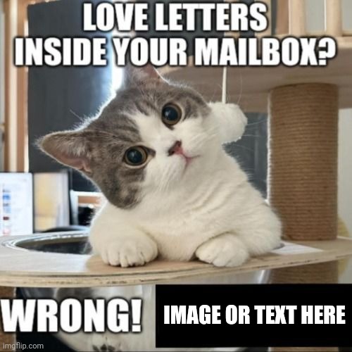 New template just dropped | IMAGE OR TEXT HERE | image tagged in love letters inside your mailbox wrong,new template,mailbox,templates,template,custom template | made w/ Imgflip meme maker