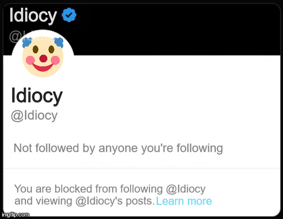idiocy | Idiocy; @Idiocy; Idiocy; @Idiocy; Not followed by anyone you're following; You are blocked from following @Idiocy; and viewing @Idiocy's posts. Learn more | image tagged in idiocy,stupid,stupidity,idiot,jerk | made w/ Imgflip meme maker