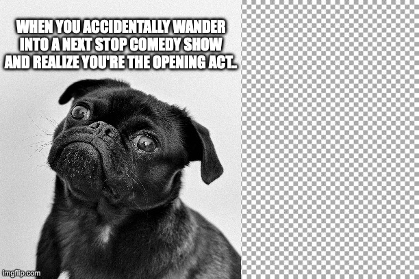 Free | WHEN YOU ACCIDENTALLY WANDER INTO A NEXT STOP COMEDY SHOW AND REALIZE YOU'RE THE OPENING ACT.. | image tagged in free | made w/ Imgflip meme maker