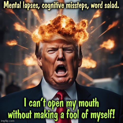 Listen to the rallies. Listen to the speeches. Phonemic Paraphasias. Look it up. | Mental lapses, cognitive missteps, word salad. I can't open my mouth without making a fool of myself! | image tagged in trump,senile,mental illness,brain,phonemic paraphasias,dementia | made w/ Imgflip meme maker