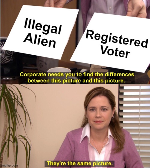 They're The Same Picture Meme | Illegal Alien; Registered Voter | image tagged in they're the same picture,voter fraud,illegal immigration,democrats,biden,secure the border | made w/ Imgflip meme maker