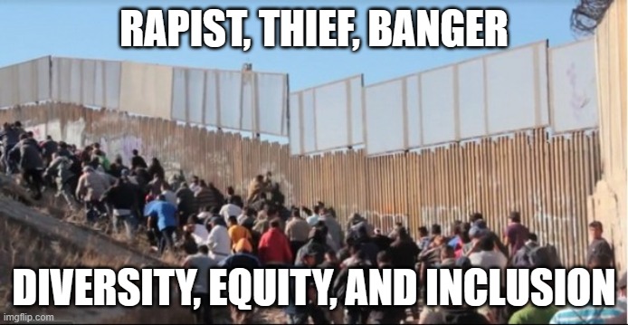 Democrat DEI programs are bringing the threat to you. | RAPIST, THIEF, BANGER; DIVERSITY, EQUITY, AND INCLUSION | image tagged in illegal immigrants,dei,democrat war on america,you are their target,violent illegals,america in decline | made w/ Imgflip meme maker