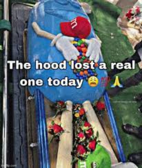 The hood lost a real one today | image tagged in the hood lost a real one today | made w/ Imgflip meme maker