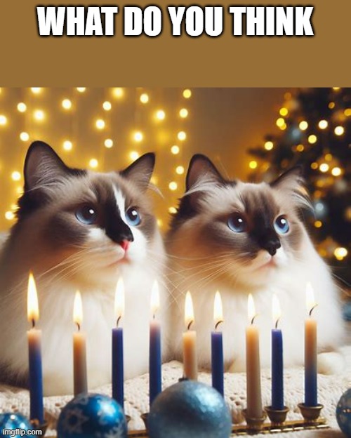 WHAT DO YOU THINK | made w/ Imgflip meme maker