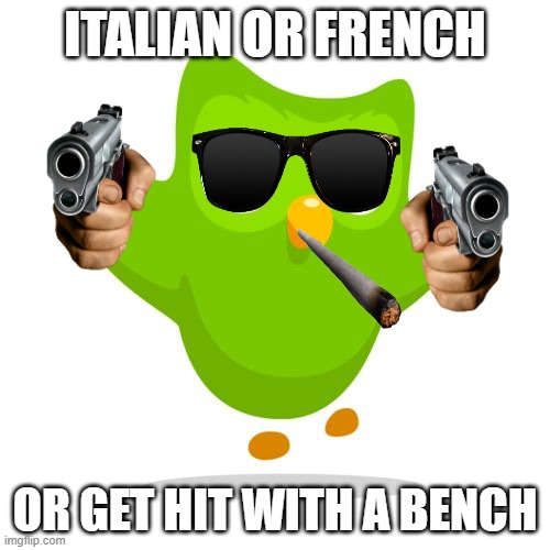 things duolingo teaches you | ITALIAN OR FRENCH; OR GET HIT WITH A BENCH | image tagged in things duolingo teaches you | made w/ Imgflip meme maker