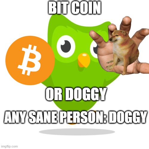 things duolingo teaches you | BIT COIN; OR DOGGY; ANY SANE PERSON: DOGGY | image tagged in things duolingo teaches you | made w/ Imgflip meme maker