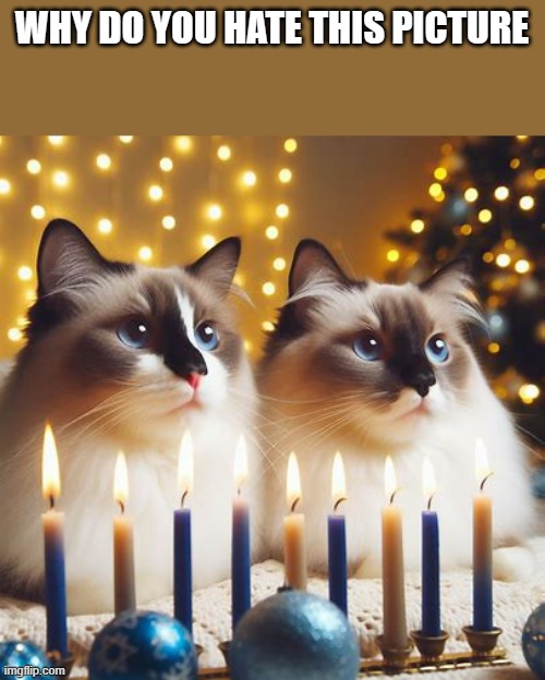 WHY DO YOU HATE THIS PICTURE | made w/ Imgflip meme maker