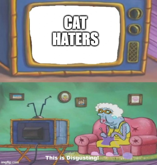 Spongebob This Is Disgusting | CAT HATERS | image tagged in spongebob this is disgusting | made w/ Imgflip meme maker