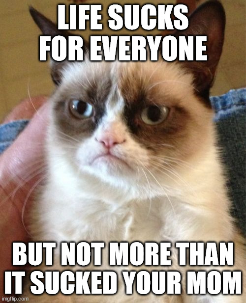 very grumpy cat | LIFE SUCKS FOR EVERYONE; BUT NOT MORE THAN IT SUCKED YOUR MOM | image tagged in memes,grumpy cat | made w/ Imgflip meme maker