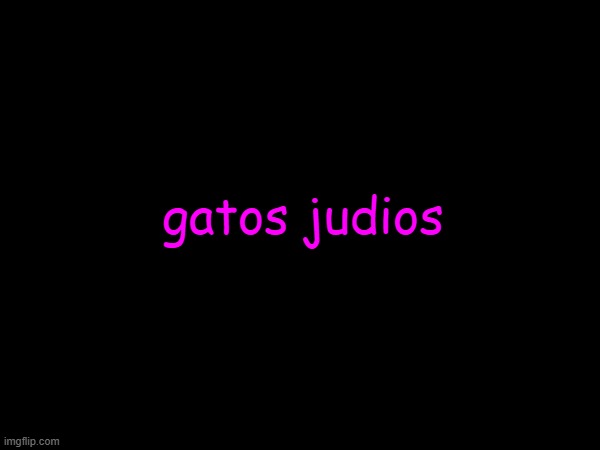 gatos judios | made w/ Imgflip meme maker