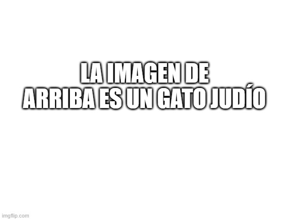 LA IMAGEN DE ARRIBA ES UN GATO JUDÍO | made w/ Imgflip meme maker