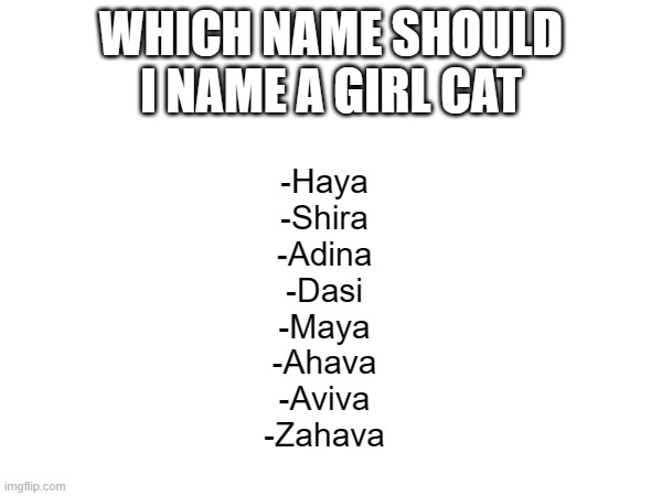 WHICH NAME SHOULD I NAME A GIRL CAT; -Haya
-Shira
-Adina
-Dasi
-Maya
-Ahava
-Aviva
-Zahava | made w/ Imgflip meme maker