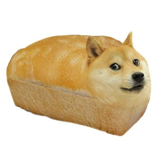 loaf of bread...? Blank Meme Template