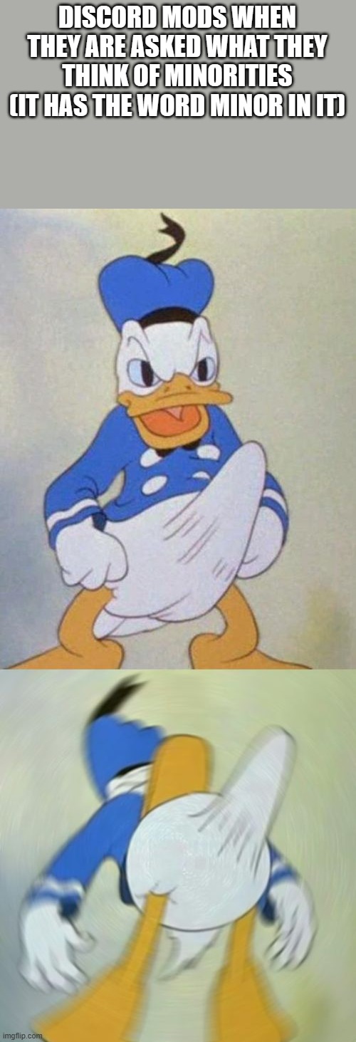 donald duck boner | DISCORD MODS WHEN THEY ARE ASKED WHAT THEY THINK OF MINORITIES (IT HAS THE WORD MINOR IN IT) | image tagged in donald duck boner | made w/ Imgflip meme maker