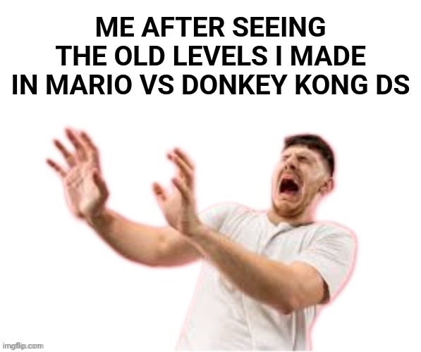 They suck so badly | ME AFTER SEEING THE OLD LEVELS I MADE IN MARIO VS DONKEY KONG DS | image tagged in he left all caps on,mario vs donkey kong,mario | made w/ Imgflip meme maker