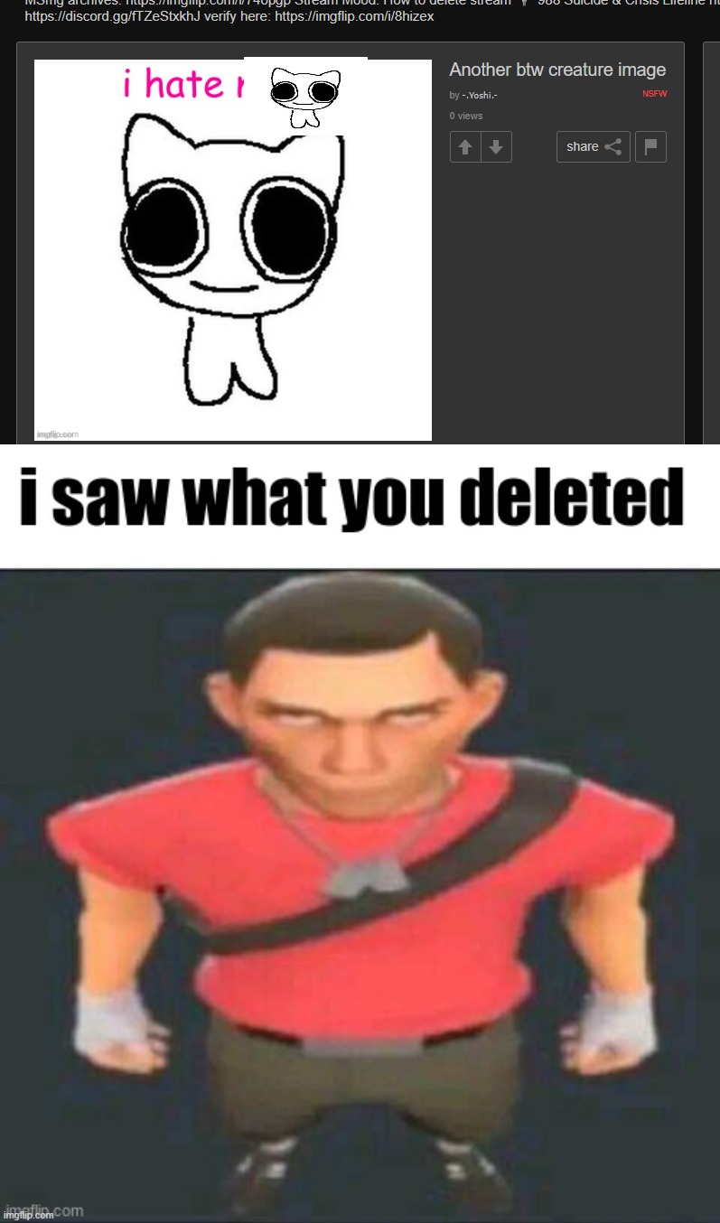 @YOshi or smh | image tagged in i saw what you deleted scout | made w/ Imgflip meme maker